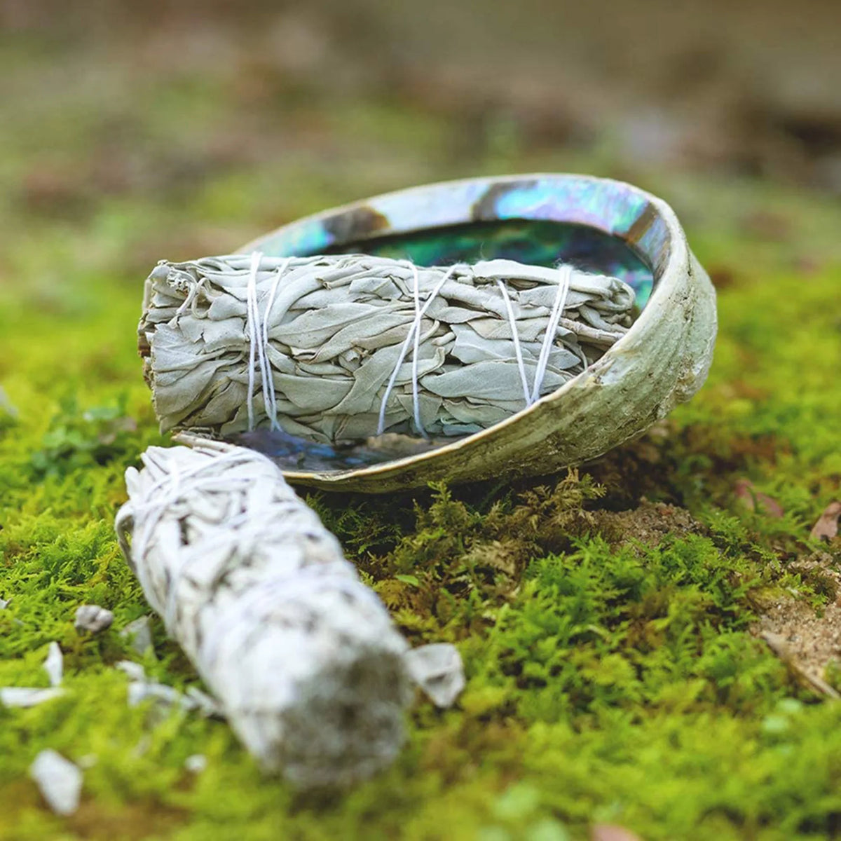 White Sage Bundles